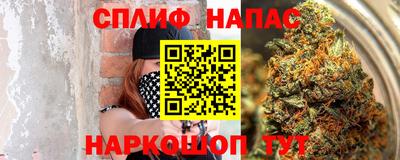 прущие грибы Пенза