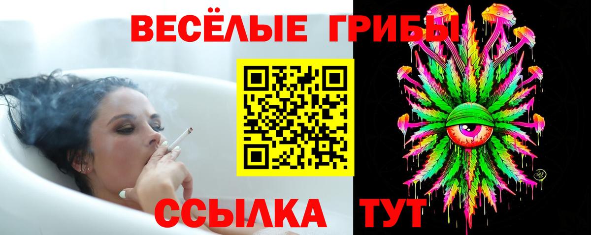 Псилоцибиновые грибы GOLDEN TEACHER  Галлюциногенные грибы Magic Shrooms  Строитель  Вход с VPN 
